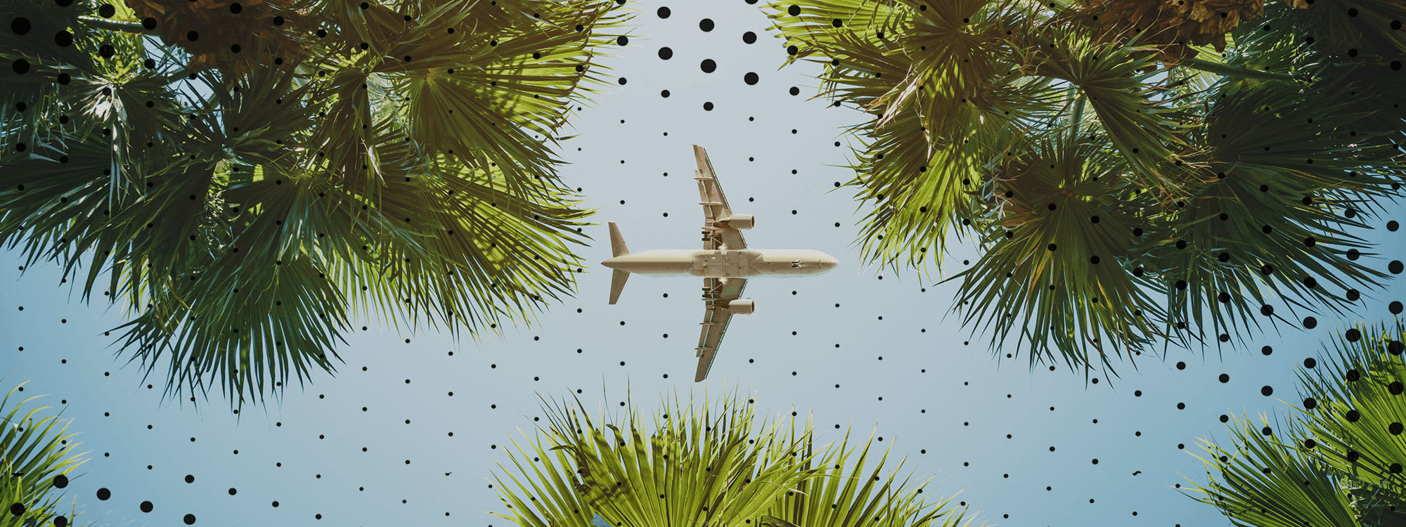 TOTUM Travel offers, vouchers and discounts